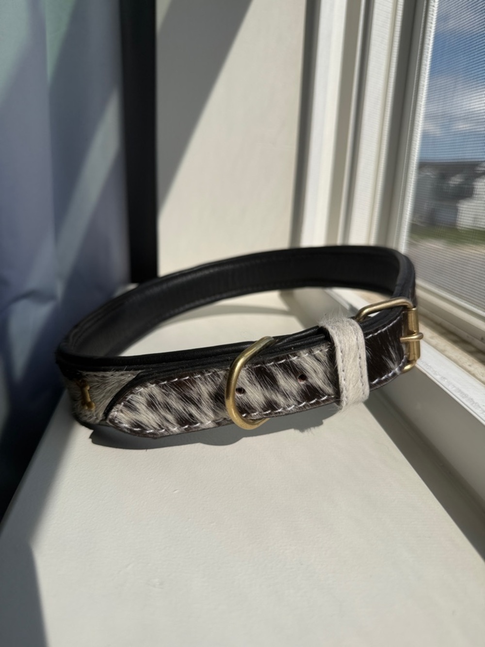 Myra Bag Black and White Cowhide Leather Dog Collar with Gold Hardware